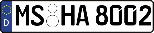 MS-HA8002