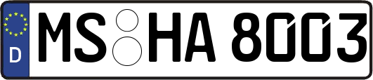MS-HA8003