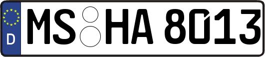 MS-HA8013