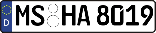 MS-HA8019