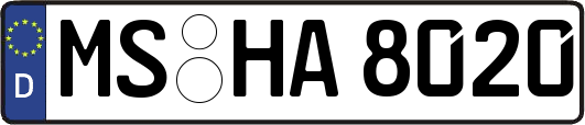 MS-HA8020