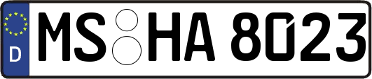 MS-HA8023