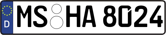 MS-HA8024