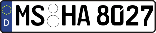 MS-HA8027