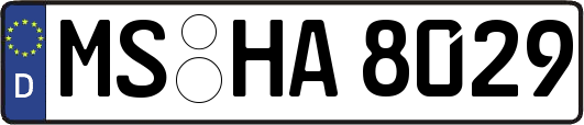 MS-HA8029