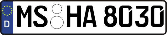 MS-HA8030