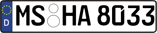 MS-HA8033