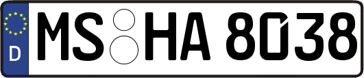MS-HA8038