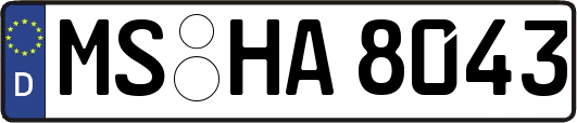 MS-HA8043