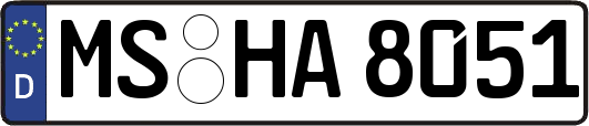 MS-HA8051