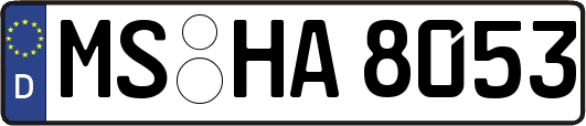MS-HA8053