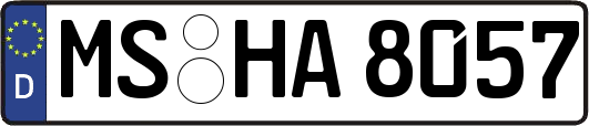 MS-HA8057