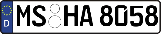MS-HA8058