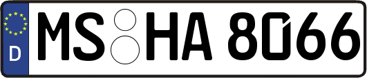 MS-HA8066