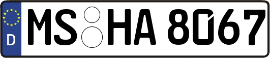 MS-HA8067