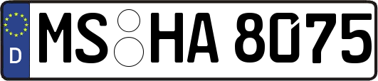 MS-HA8075