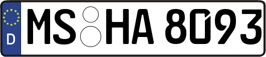 MS-HA8093