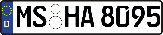 MS-HA8095