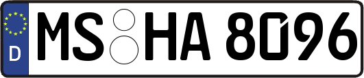 MS-HA8096