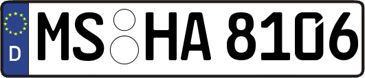 MS-HA8106