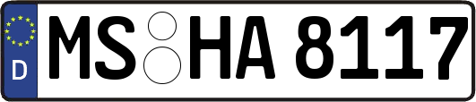 MS-HA8117