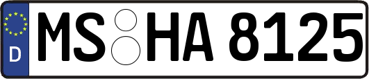 MS-HA8125