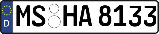 MS-HA8133