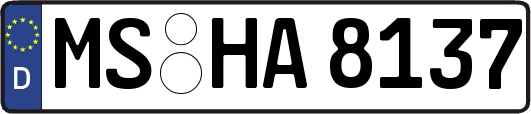 MS-HA8137