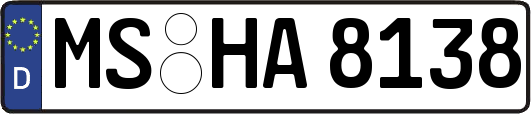 MS-HA8138