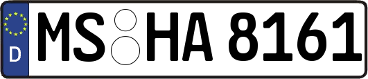 MS-HA8161