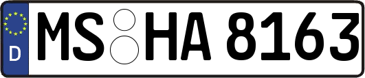 MS-HA8163
