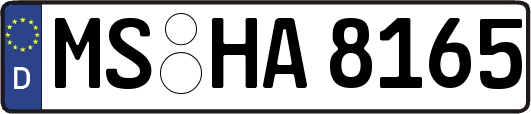 MS-HA8165