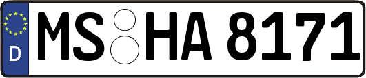 MS-HA8171
