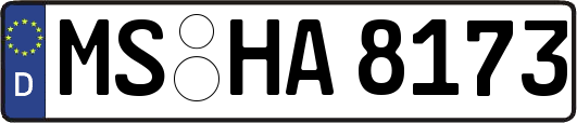 MS-HA8173