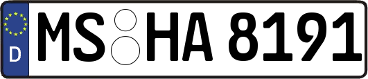 MS-HA8191