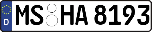 MS-HA8193