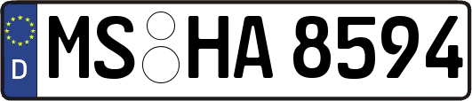 MS-HA8594