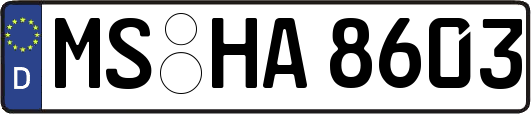 MS-HA8603