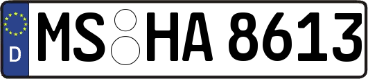 MS-HA8613