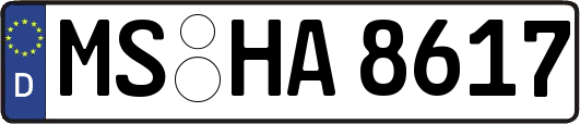 MS-HA8617