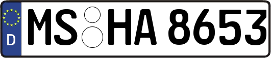 MS-HA8653