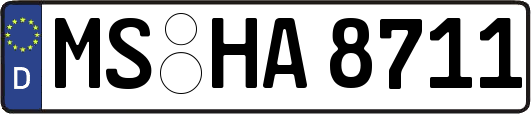 MS-HA8711