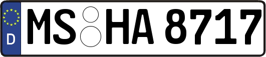 MS-HA8717
