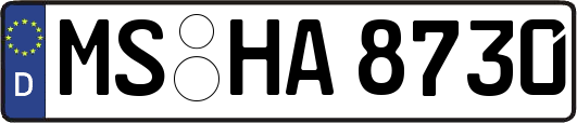 MS-HA8730