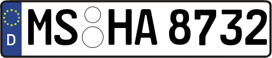 MS-HA8732
