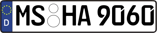 MS-HA9060