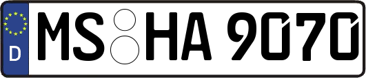 MS-HA9070