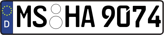 MS-HA9074