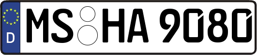 MS-HA9080