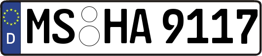 MS-HA9117